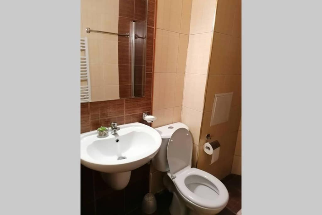 בנסקו Sunny Studio Apartment - Few Steps From Gondola מראה חיצוני תמונה