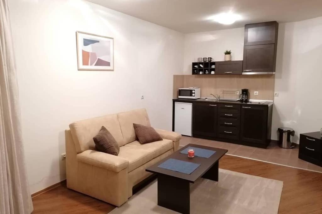 בנסקו Sunny Studio Apartment - Few Steps From Gondola מראה חיצוני תמונה