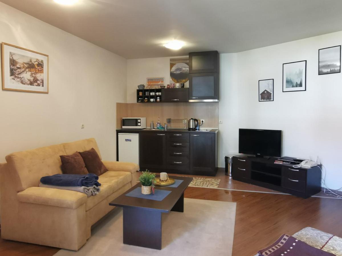 בנסקו Sunny Studio Apartment - Few Steps From Gondola מראה חיצוני תמונה