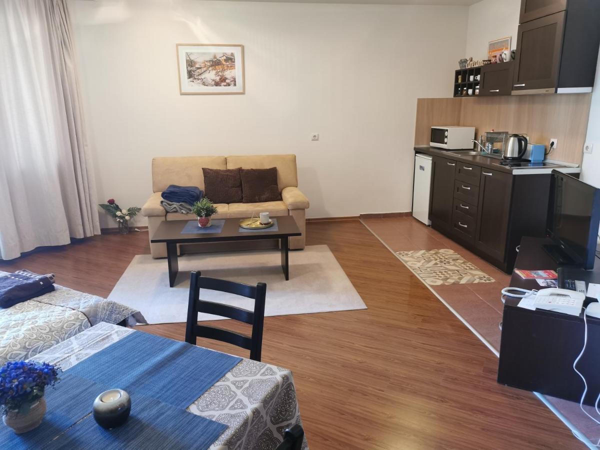 בנסקו Sunny Studio Apartment - Few Steps From Gondola מראה חיצוני תמונה