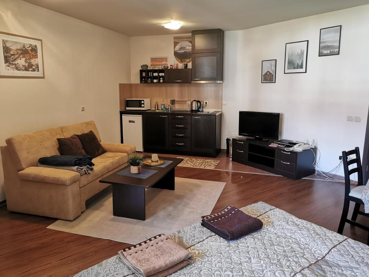 בנסקו Sunny Studio Apartment - Few Steps From Gondola מראה חיצוני תמונה